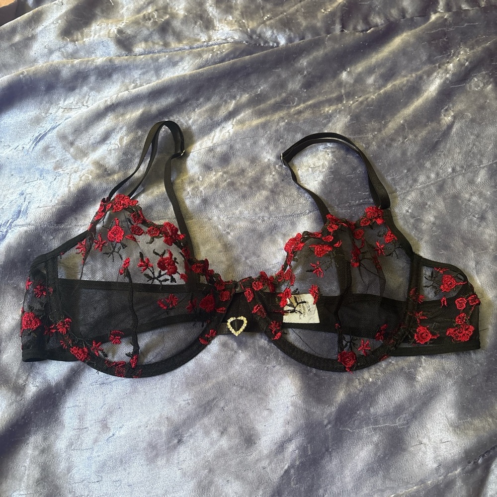 Elegant Black and Red transparent rose lace bra